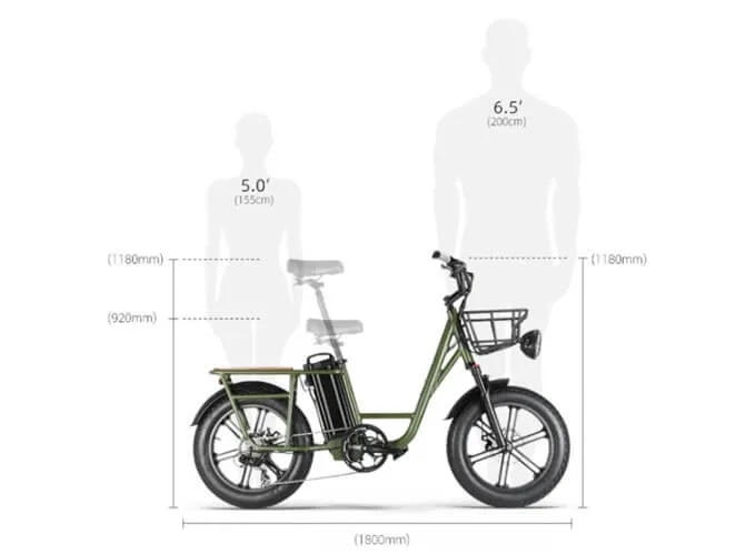 Fiido T1 Cargo Electric Bike features