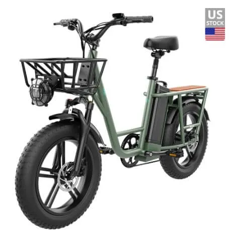 Fiido T1 Cargo Electric Bike