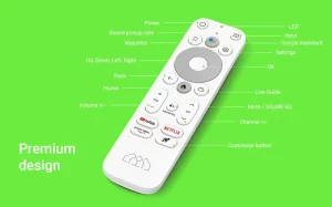 Homatics Box R Lite 4K remote